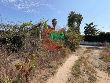 Terreno para Venda em Palmeira