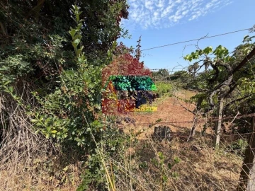 Terreno para Venda em Palmeira