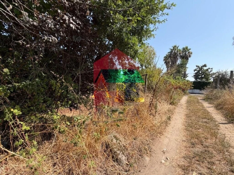 Terreno para Venda em Palmeira Foto 7