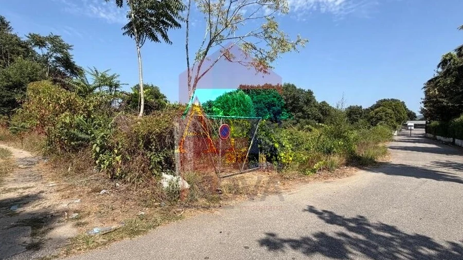 Terreno para Venda em Palmeira