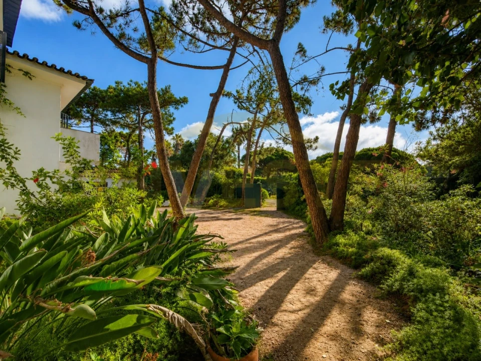 Moradia T8 para Venda em Cascais e Estoril Foto 4