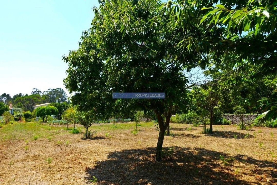 Moradia T3 para Venda em Santa Comba Foto 5