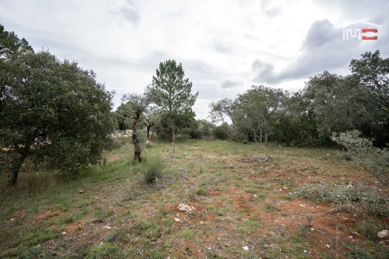 Terreno para Venda em Fatima Foto 15