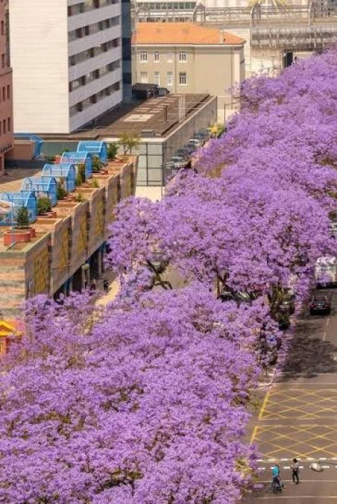 Apartamento T2 para Venda em Avenidas Novas