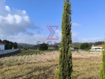 Terreno para Venda em Bombarral e Vale Covo