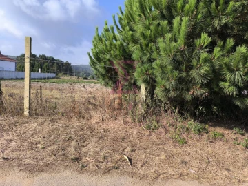 Terreno para Venda em Bombarral e Vale Covo