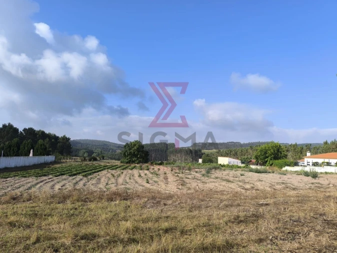 Terreno para Venda em Bombarral e Vale Covo Foto 2