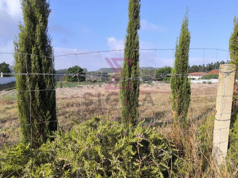 Terreno para Venda em Bombarral e Vale Covo Foto 4