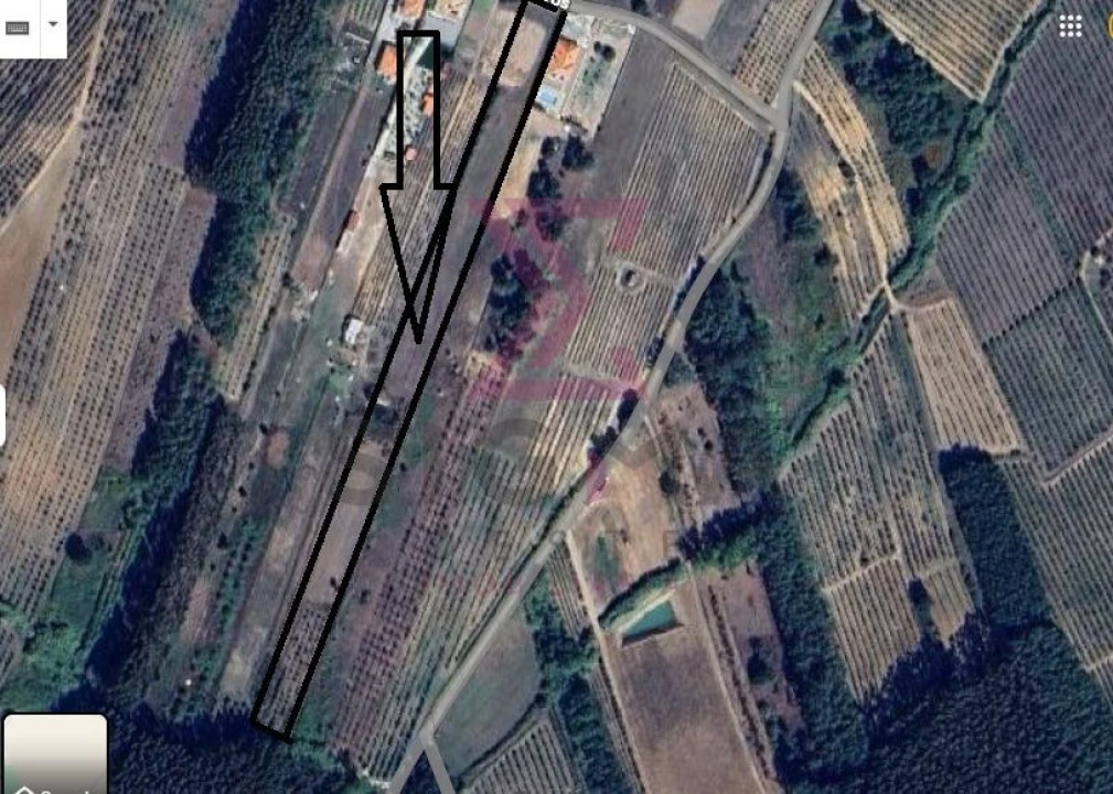 Terreno para Venda em Bombarral e Vale Covo Foto 1
