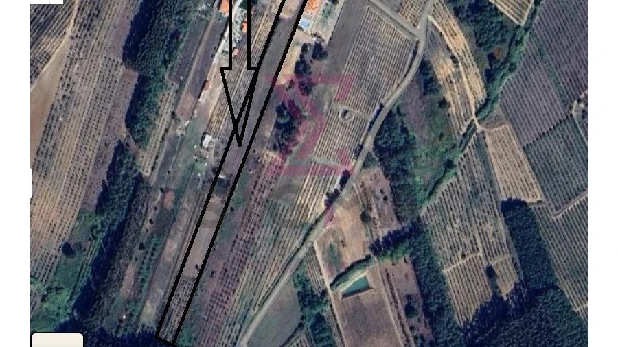 Terreno para Venda em Bombarral e Vale Covo