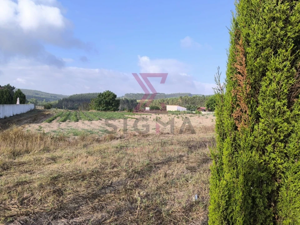 Terreno para Venda em Bombarral e Vale Covo Foto 6
