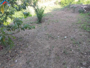 Moradia T3 para Venda em Lorvão