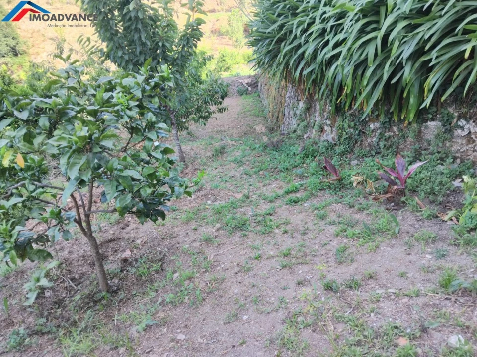 Moradia T3 para Venda em Lorvão Foto 30