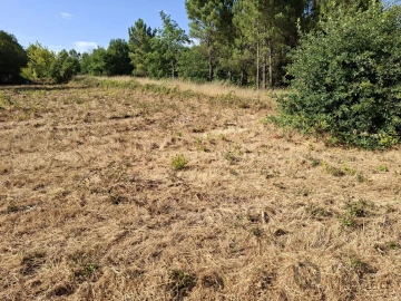 Terreno para Venda em Abraveses