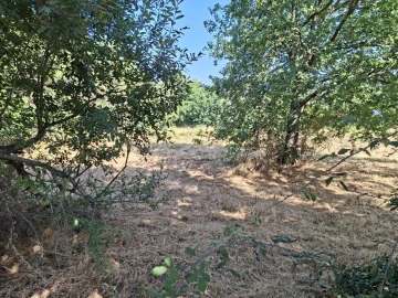 Terreno para Venda em Abraveses