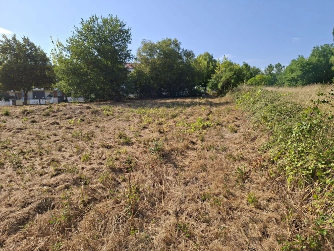 Terreno para Venda em Abraveses Foto 6