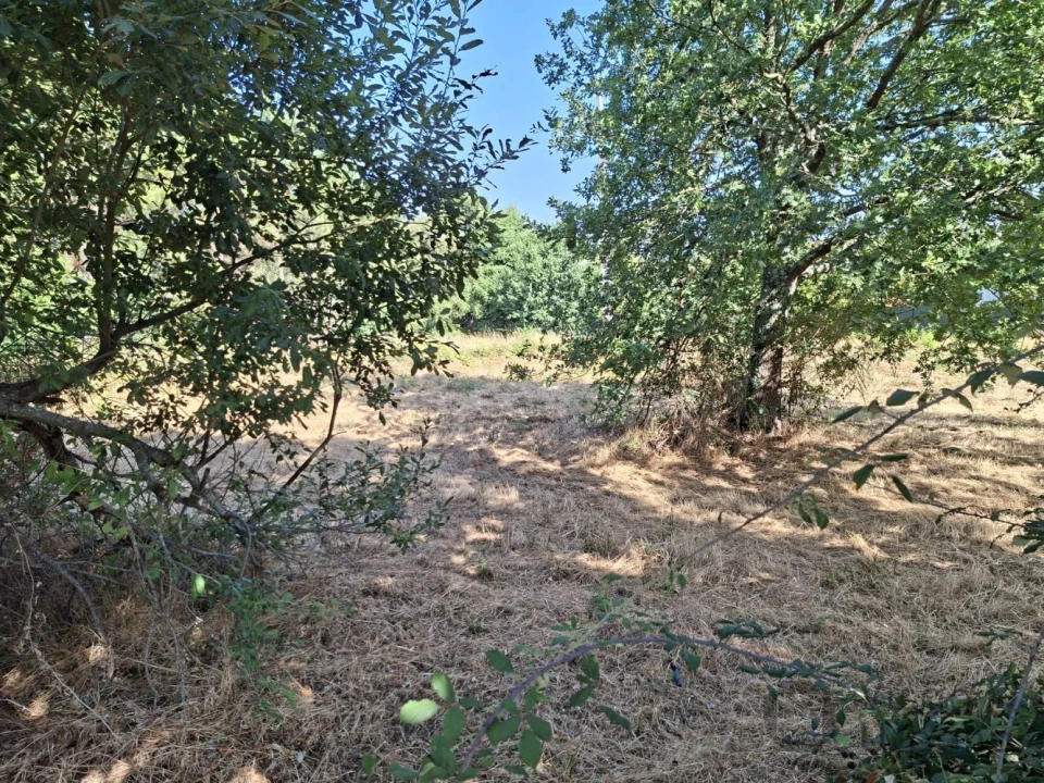 Terreno para Venda em Abraveses Foto 8