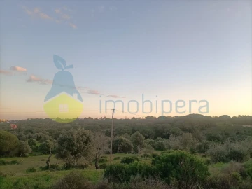 Terreno Agricola ou Rústico para Venda em Porches