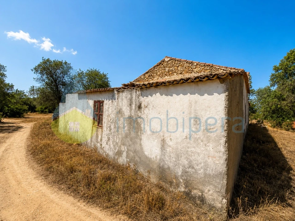 Terreno para Venda em Algoz e Tunes Foto 3
