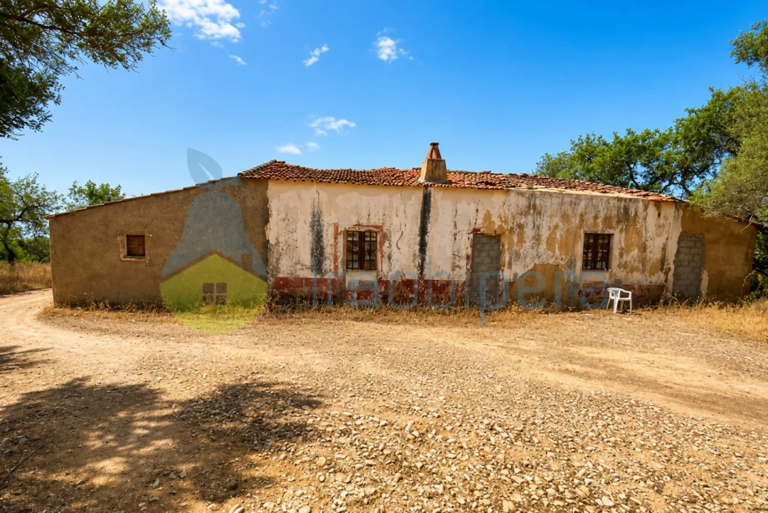 Terreno para Venda em Algoz e Tunes Foto 4