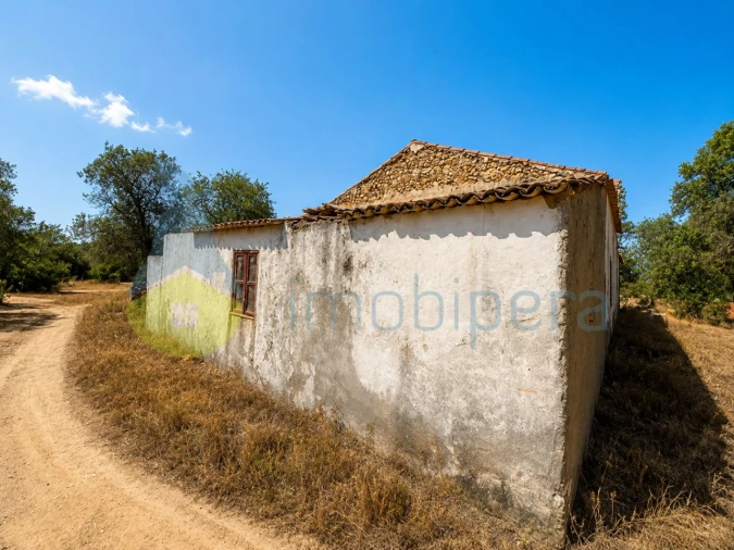 Terreno para Venda em Algoz e Tunes Foto 3