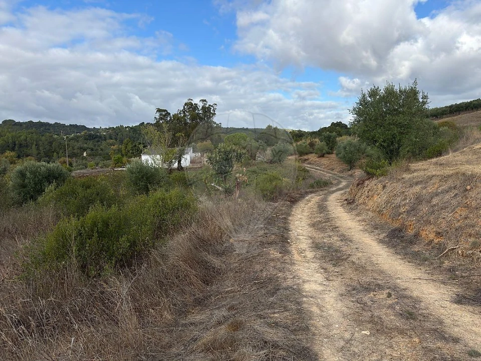 Moradia T2 para Venda em Achete, Azoia de Baixo e Póvoa de Santarém Foto 3