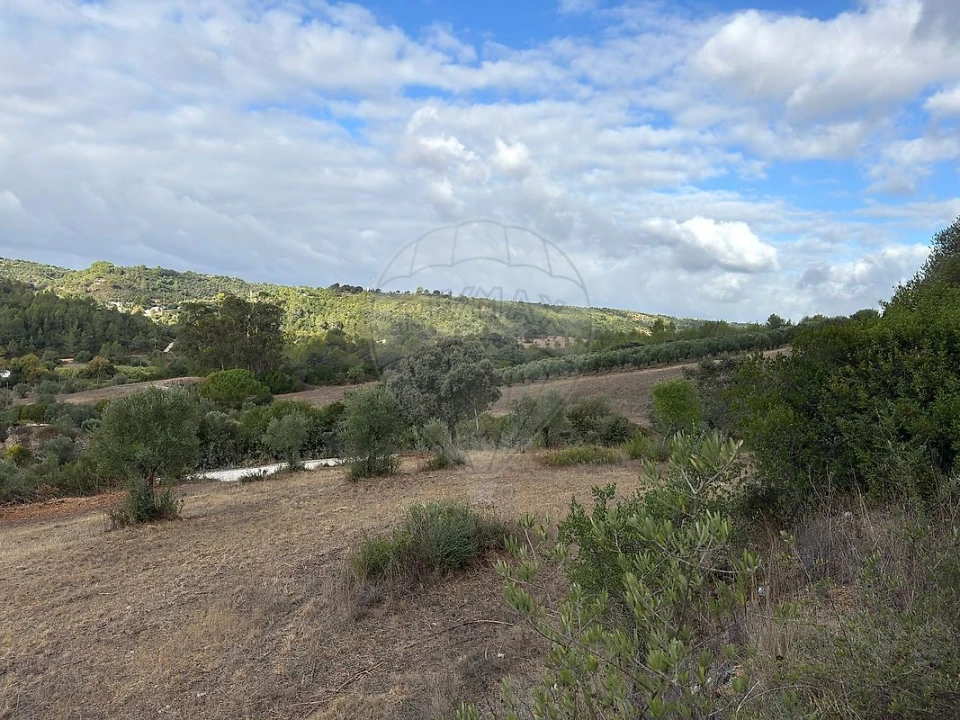 Moradia T2 para Venda em Achete, Azoia de Baixo e Póvoa de Santarém Foto 2