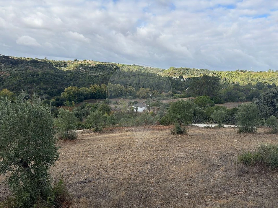 Moradia T2 para Venda em Achete, Azoia de Baixo e Póvoa de Santarém Foto 13