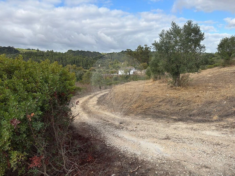 Moradia T2 para Venda em Achete, Azoia de Baixo e Póvoa de Santarém Foto 5