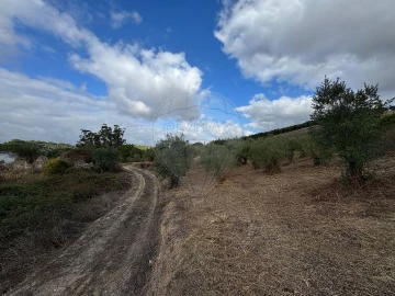 Moradia T2 para Venda em Achete, Azoia de Baixo e Póvoa de Santarém