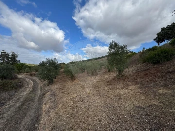 Moradia T2 para Venda em Achete, Azoia de Baixo e Póvoa de Santarém
