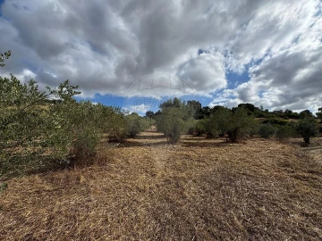 Moradia T2 para Venda em Achete, Azoia de Baixo e Póvoa de Santarém