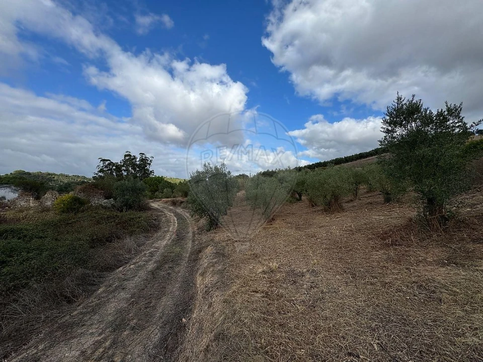 Moradia T2 para Venda em Achete, Azoia de Baixo e Póvoa de Santarém Foto 6