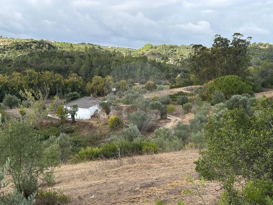 Moradia T2 para Venda em Achete, Azoia de Baixo e Póvoa de Santarém Foto 10