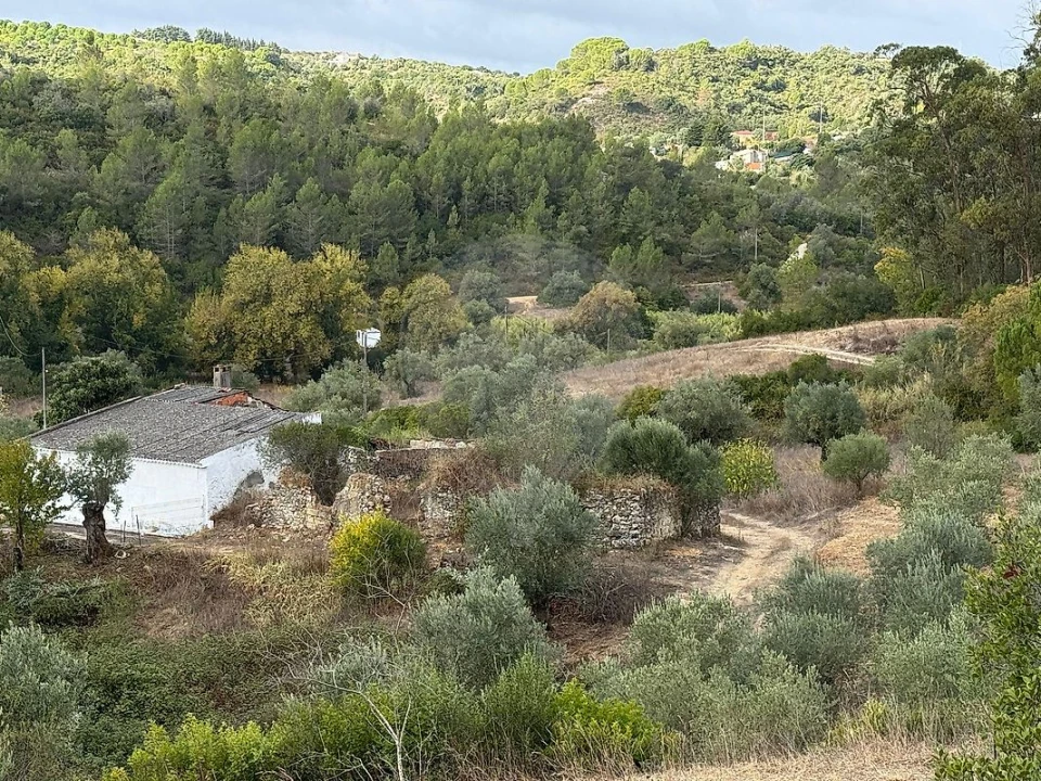 Moradia T2 para Venda em Achete, Azoia de Baixo e Póvoa de Santarém Foto 14