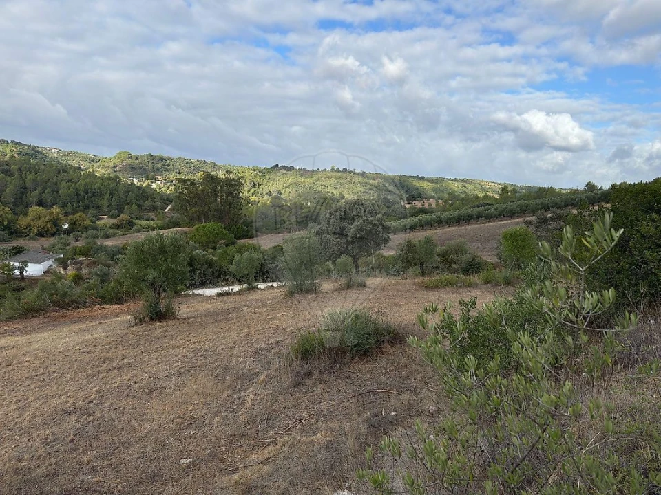 Moradia T2 para Venda em Achete, Azoia de Baixo e Póvoa de Santarém Foto 9