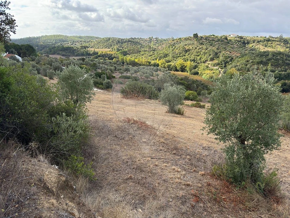 Moradia T2 para Venda em Achete, Azoia de Baixo e Póvoa de Santarém Foto 11