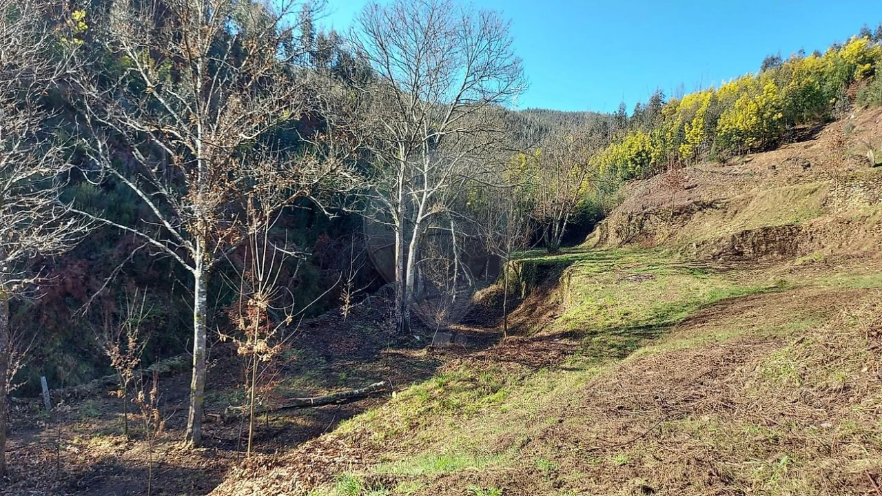 Quinta T
           para Venda em Fermedo Foto 25