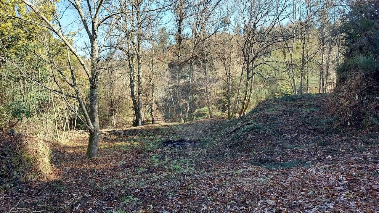 Quinta T
           para Venda em Fermedo Foto 23