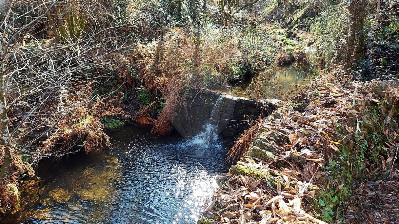Quinta T
           para Venda em Fermedo Foto 17