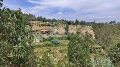 Quinta T
           para Venda em Fermedo