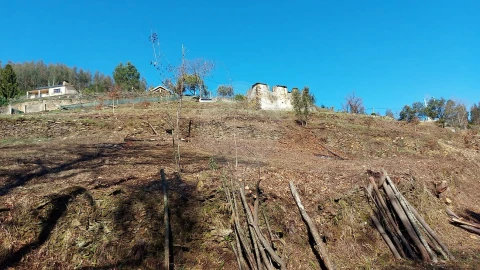 Quinta T
           para Venda em Fermedo