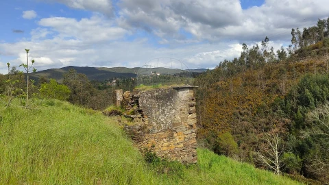 Quinta T
           para Venda em Fermedo