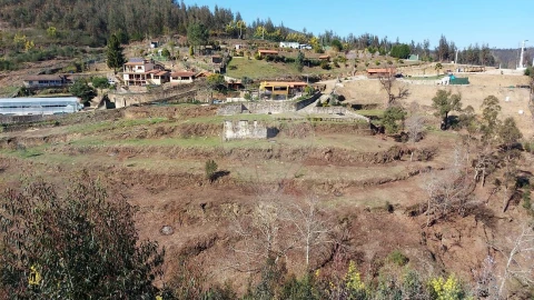 Quinta T
           para Venda em Fermedo