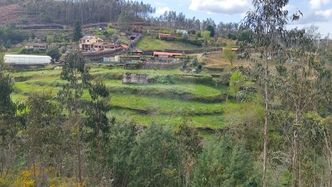 Quinta T
           para Venda em Fermedo