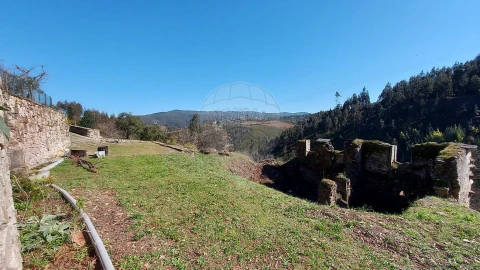 Quinta T
           para Venda em Fermedo