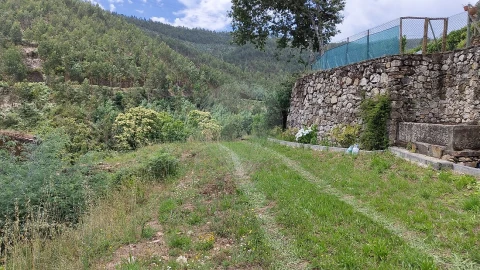 Quinta T
           para Venda em Fermedo