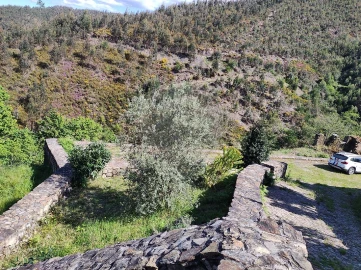 Quinta T
           para Venda em Fermedo