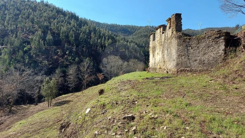 Quinta T
           para Venda em Fermedo