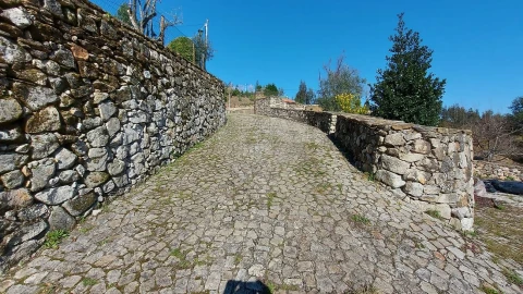 Quinta T
           para Venda em Fermedo